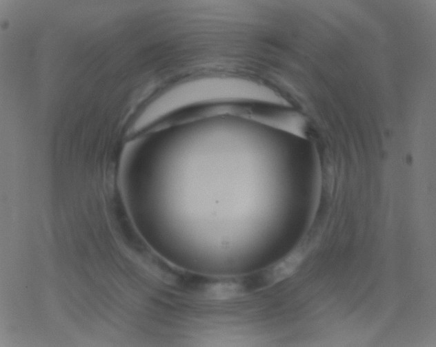 X0000077360168200611101648