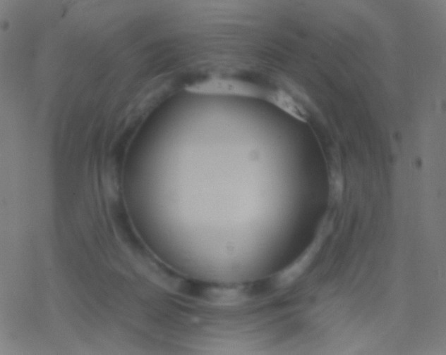 X0000077360170200611101648