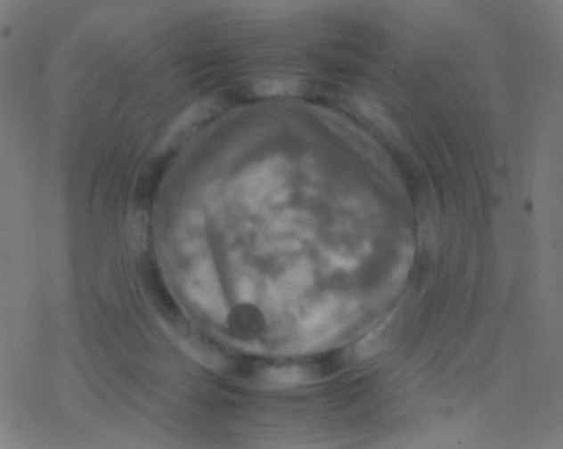 X0000077360171200611101648