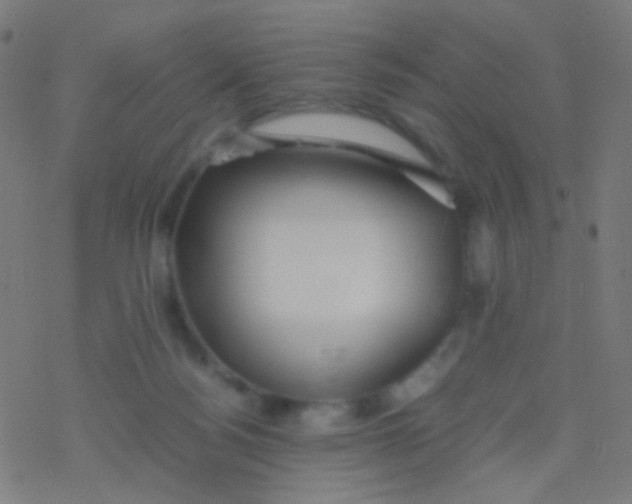 X0000077360172200611101648