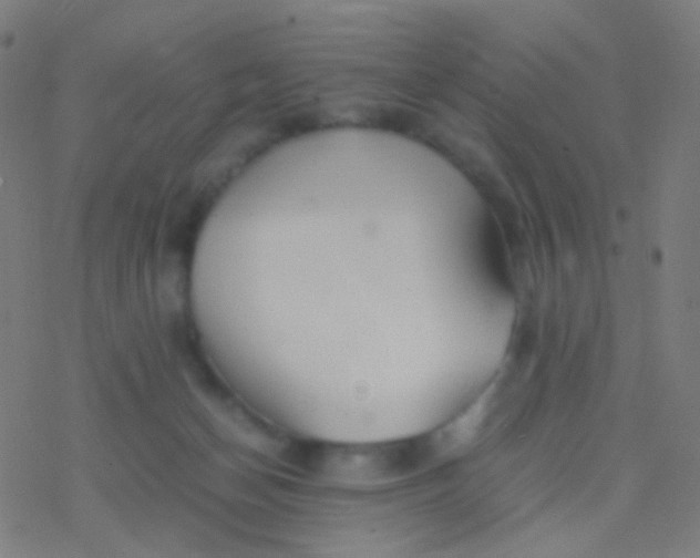 X0000077360174200611101648