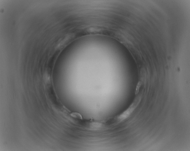 X0000077360176200611101648