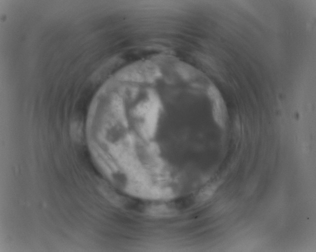 X0000077360177200611101648