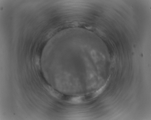 X0000077360178200611101648