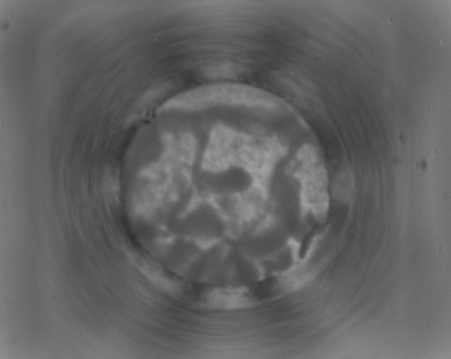 X0000077360179200611101648