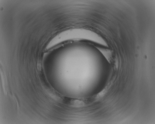 X0000077360180200611101648