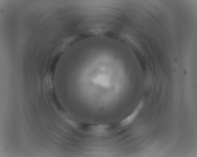 X0000077360182200611101648