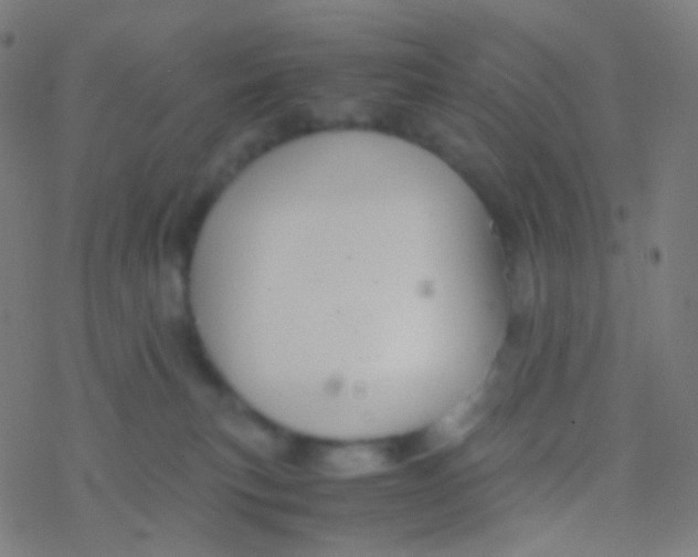 X0000077360183200611101648