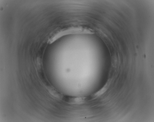 X0000077360184200611101648