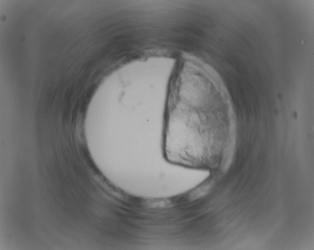 X0000077360185200611101648