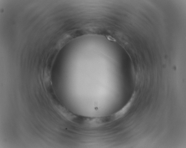 X0000077360186200611101648