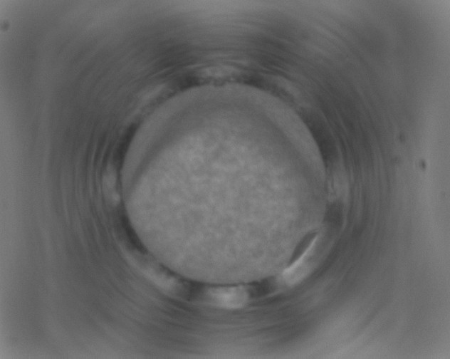 X0000077360187200611101648