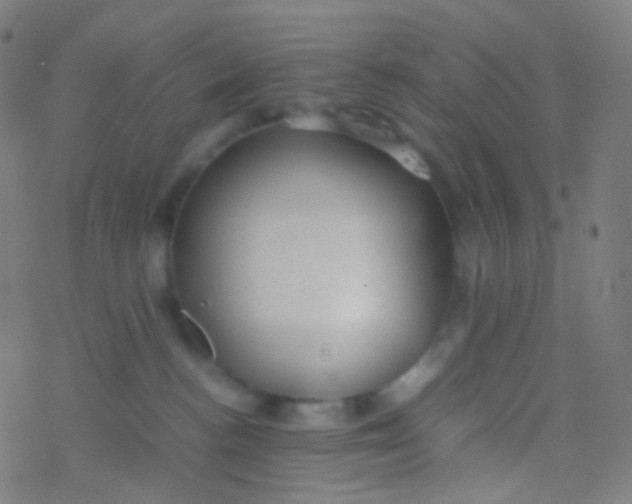 X0000077360188200611101648