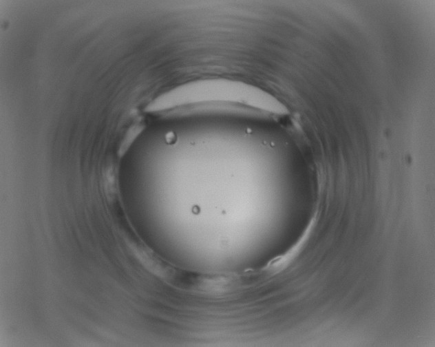 X0000077360190200611101648