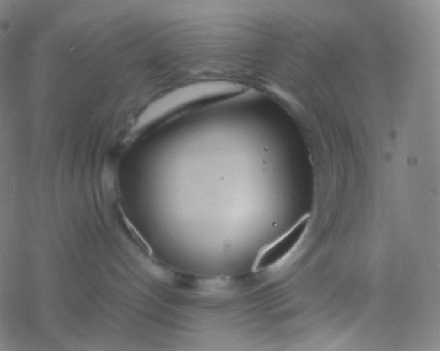 X0000077360192200611101648