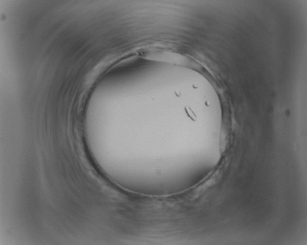 X0000077360193200611101647