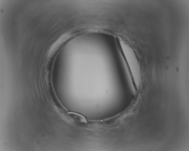 X0000077360197200611101647