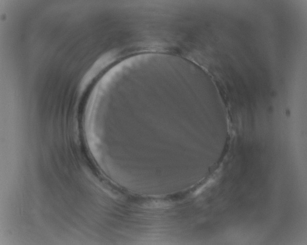 X0000077360198200611101647