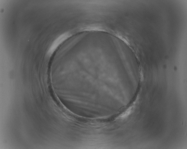 X0000077360199200611101647