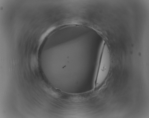 X0000077360200200611101647