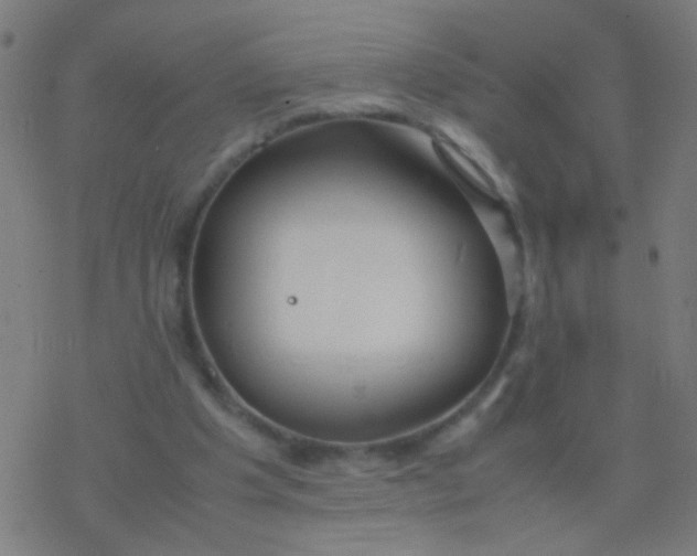 X0000077360201200611101647