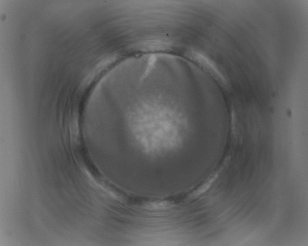 X0000077360202200611101647