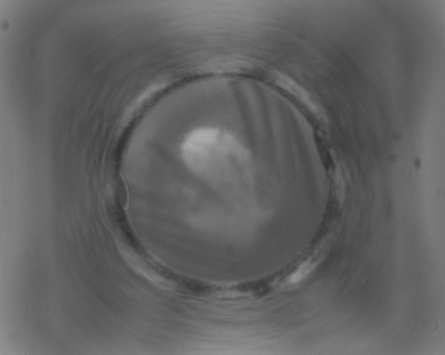 X0000077360203200611101647