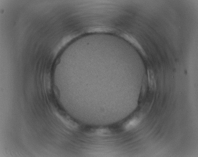 X0000077360204200611101647