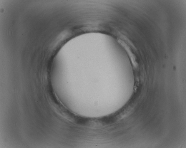 X0000077360207200611101647