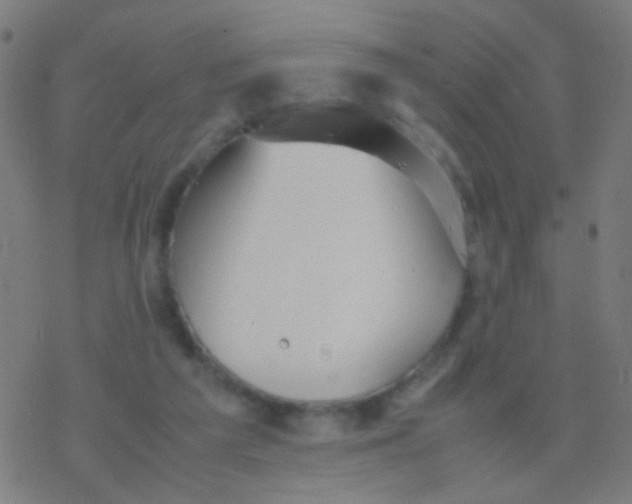 X0000077360209200611101647