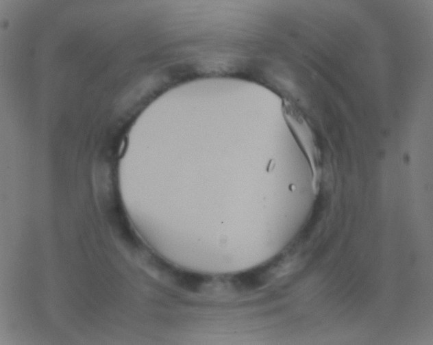 X0000077360211200611101647