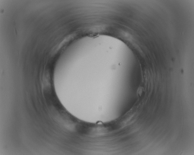 X0000077360212200611101647