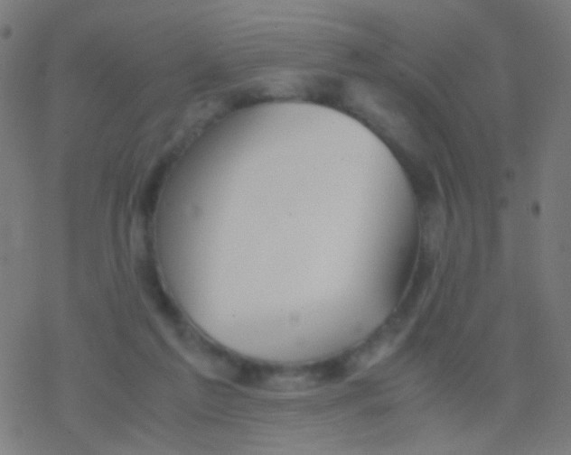 X0000077360213200611101647