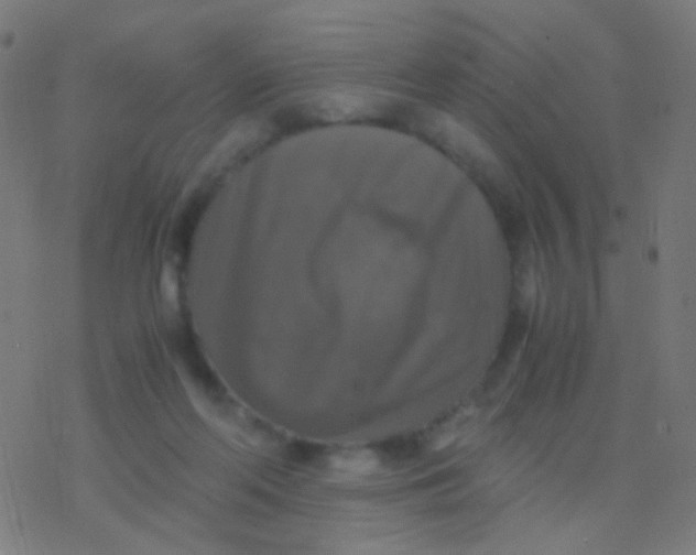 X0000077360214200611101647