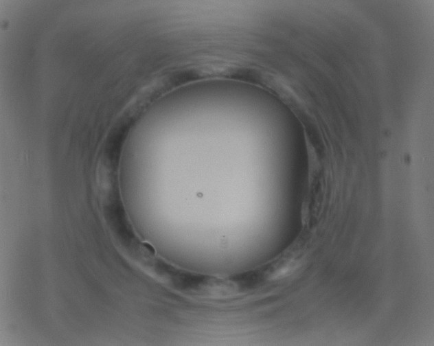 X0000077360215200611101647