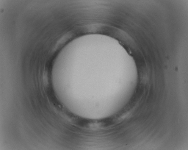 X0000077360216200611101647