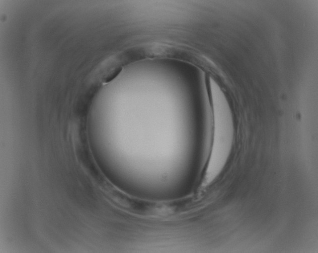 X0000077360217200611101647