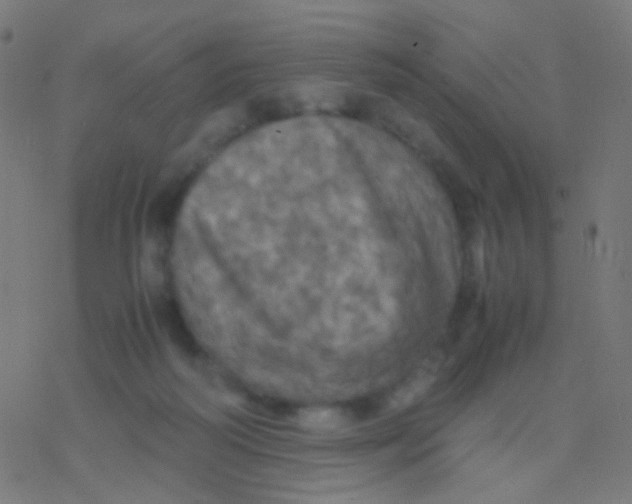 X0000077360218200611101647