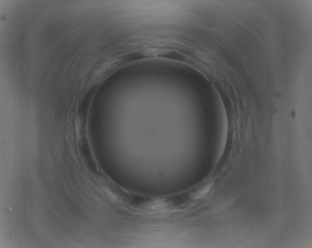 X0000077360219200611101647