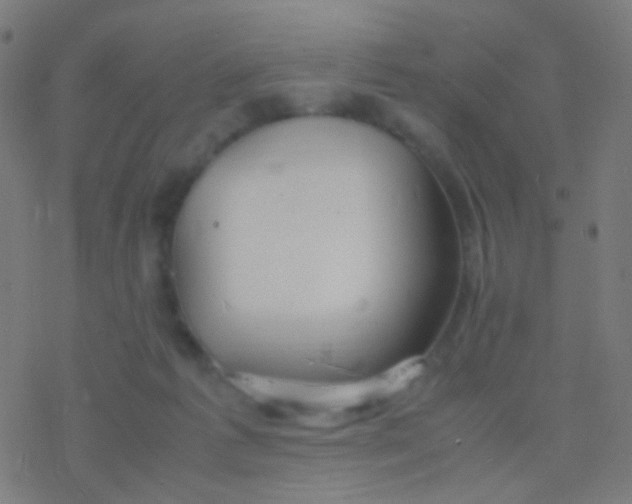 X0000077360221200611101647