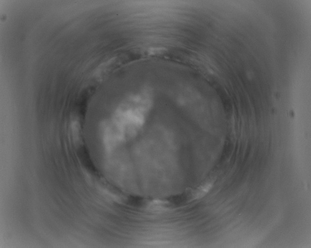 X0000077360222200611101647