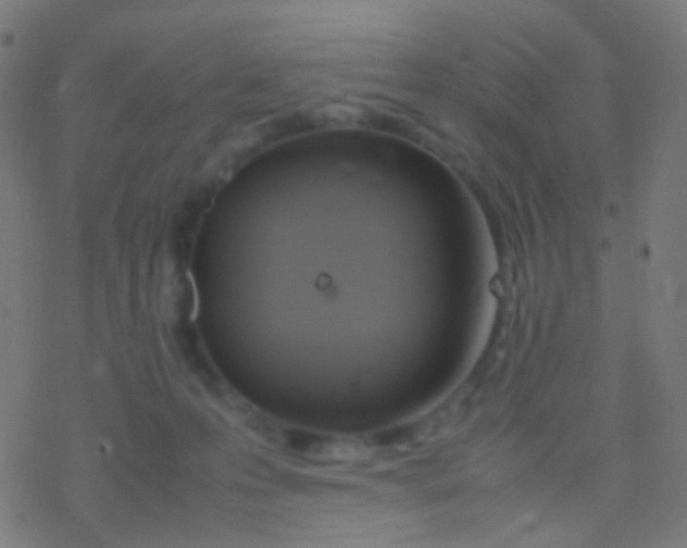 X0000077360223200611101647