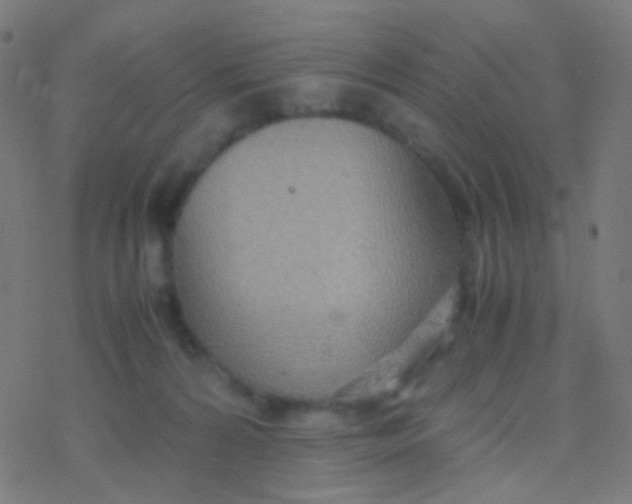 X0000077360224200611101647