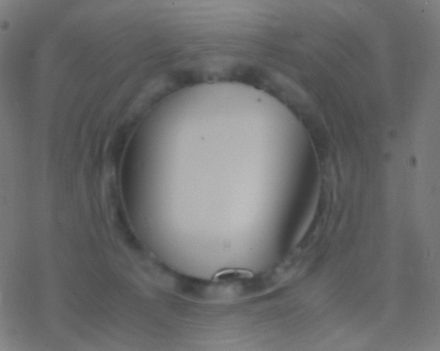 X0000077360225200611101647