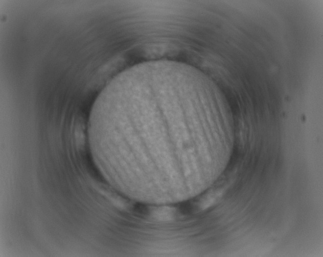 X0000077360226200611101647