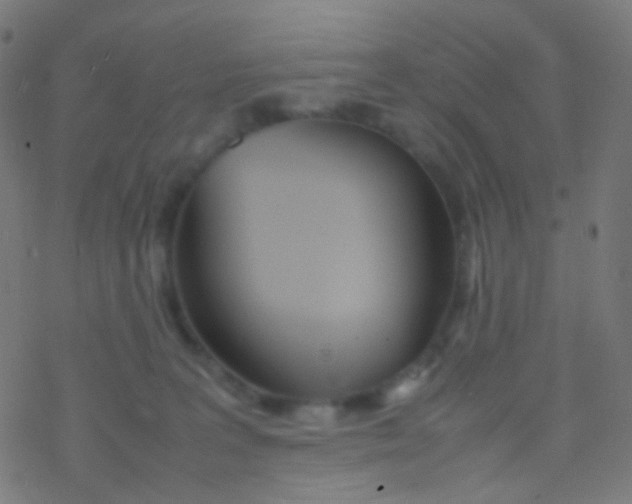 X0000077360227200611101647