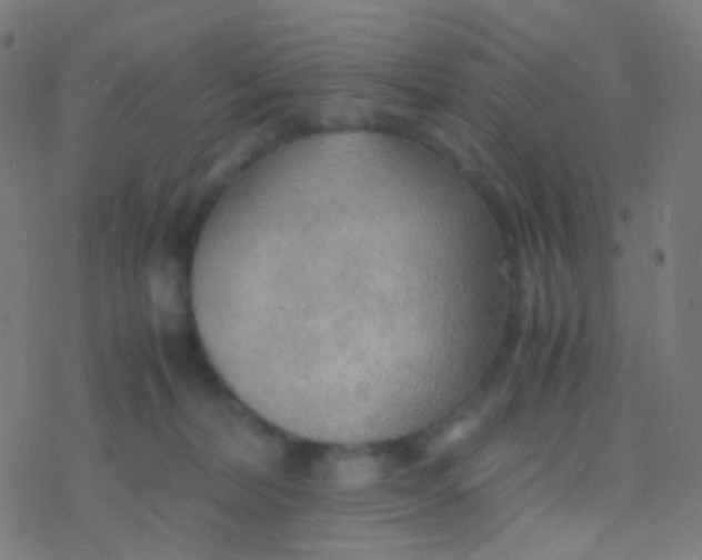 X0000077360228200611101647