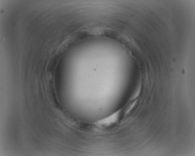 X0000077360229200611101647