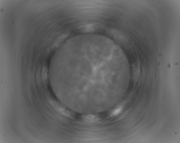 X0000077360230200611101647