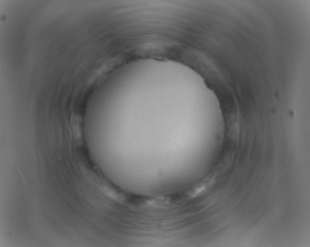 X0000077360232200611101647